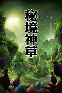 11连板 深中华A收关注函